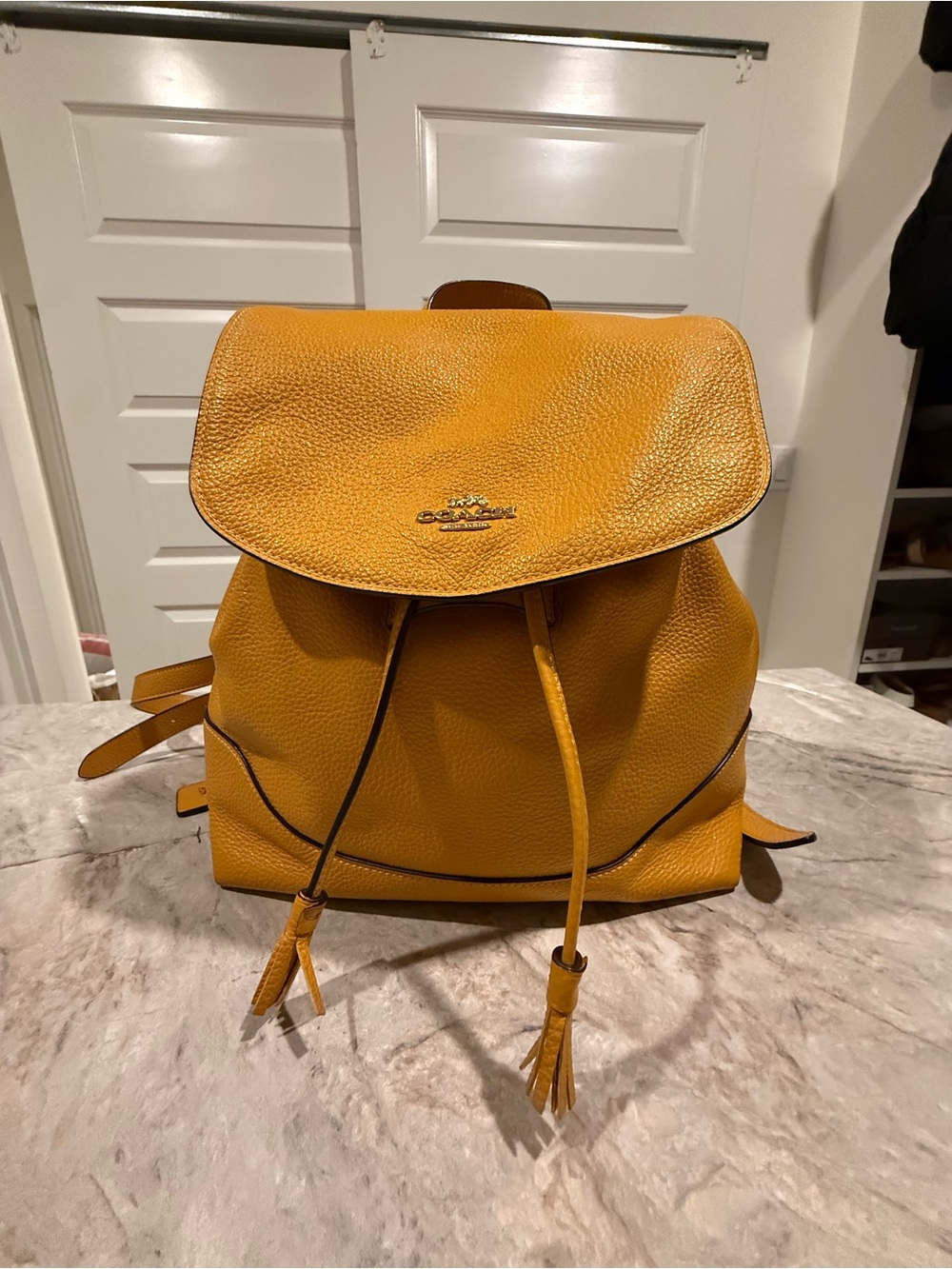 Coach Pebbled Leather Backpack in Mustard